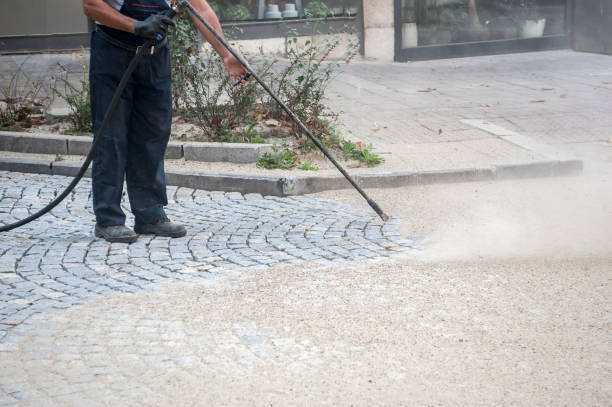 Best Driveway Pressure Washing  in Goodland, IN